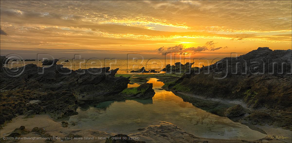 Peter Bellingham Photography Lord Howe Island - NSW T (PBH4 00 11634)